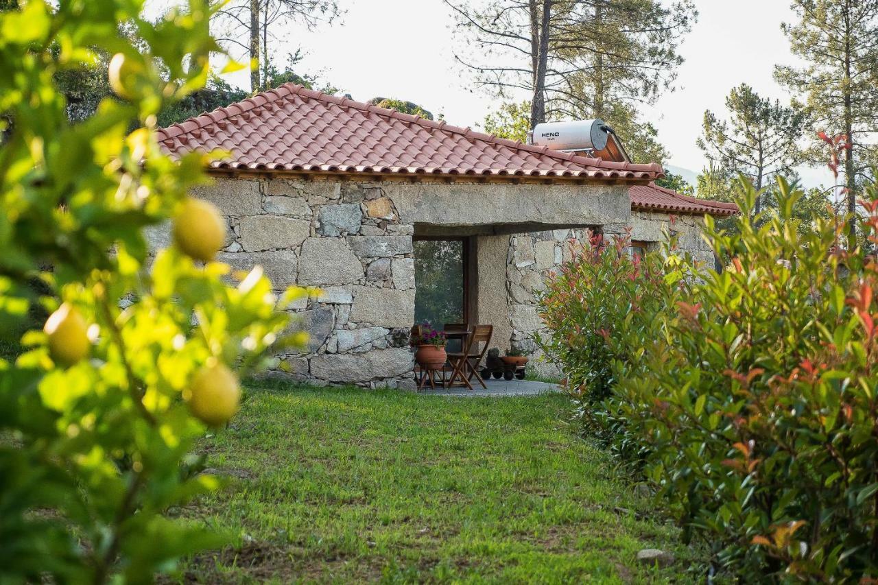 Quinta Da Baldieira Mondim de Basto Exterior photo